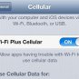 В чем разница между WI-FI и WI-FI + Cellular