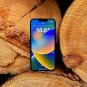 iPhone SE 4: всё, что известно о новом смартфоне